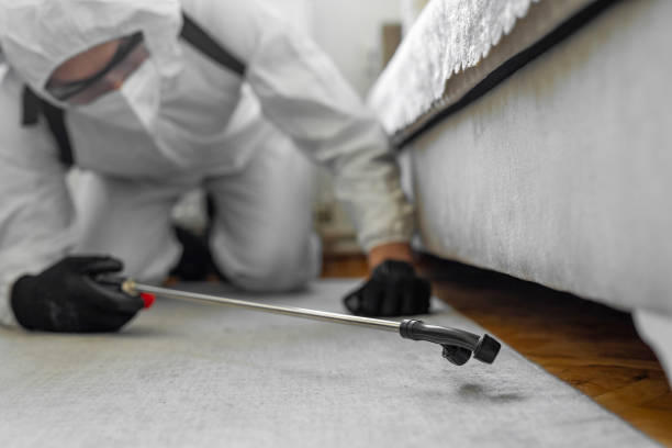 Professional Bed Bug Control technician working in Monticello, IL