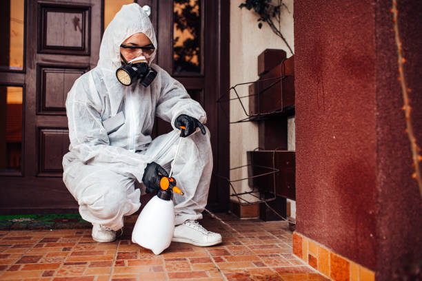 Reliable Bed Bug Control contractor in Monticello, IL by Nex Pest Control