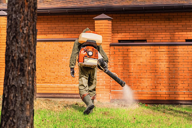 Trusted Bed Bug Control service in Monticello, IL - Nex Pest Control